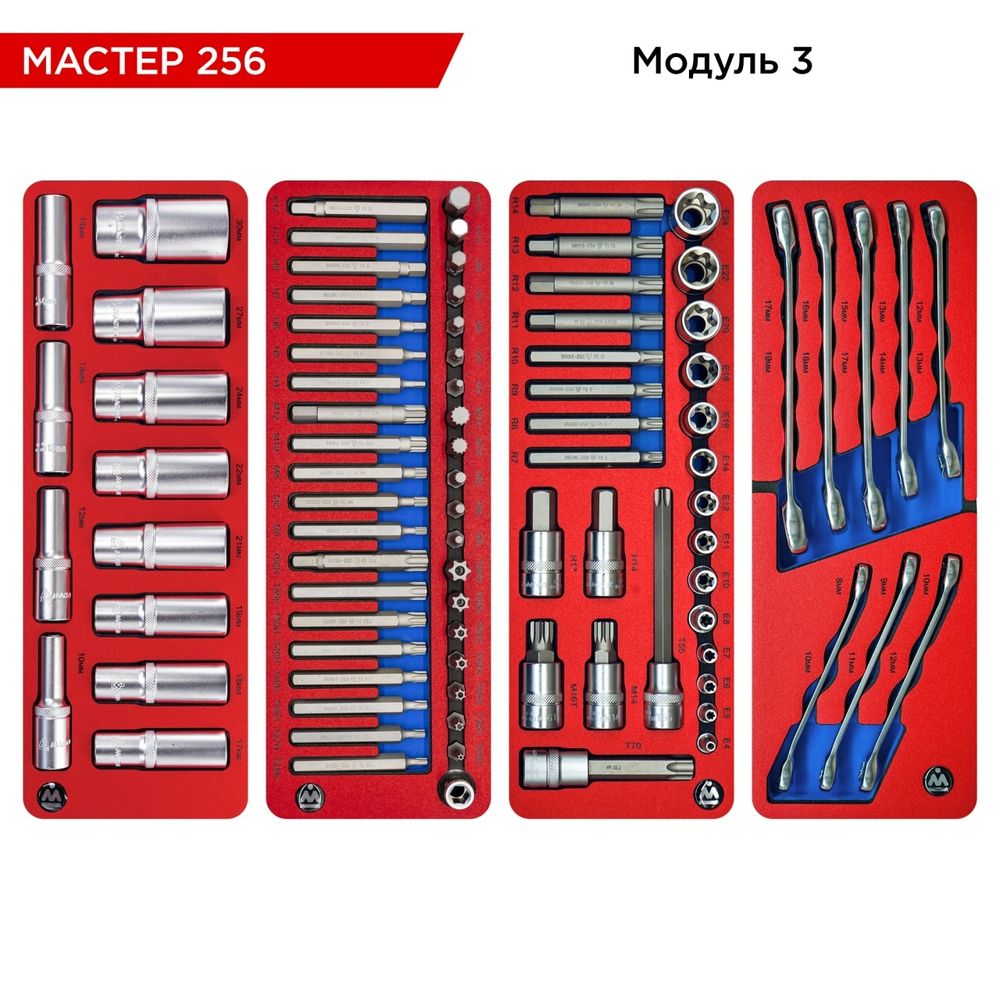 МАСТАК (52-05256B) Набор инструментов 256 предметов, "МАСТЕР 256", в синей тележке