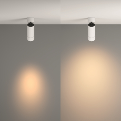 Потолочный светильник Technical C055CL-L12W3K-Z-W