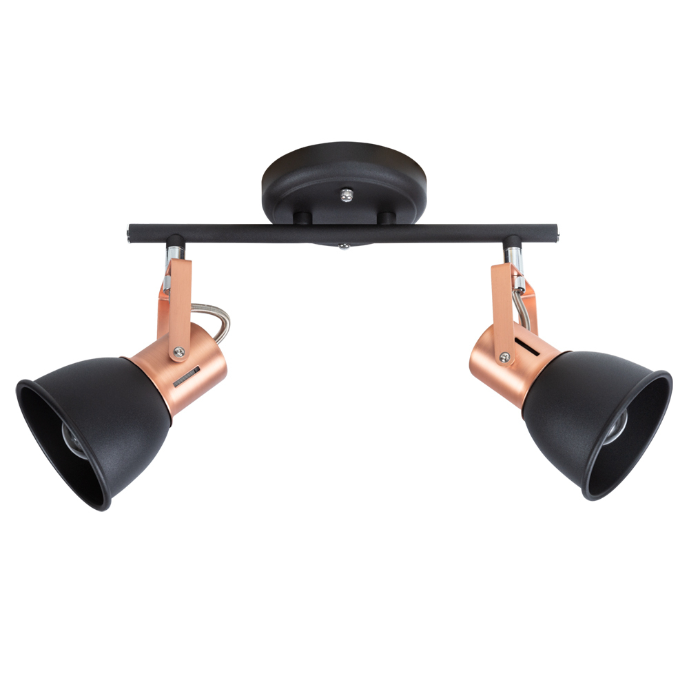 Светильник потолочный Arte Lamp Jovi A1677PL-2BK