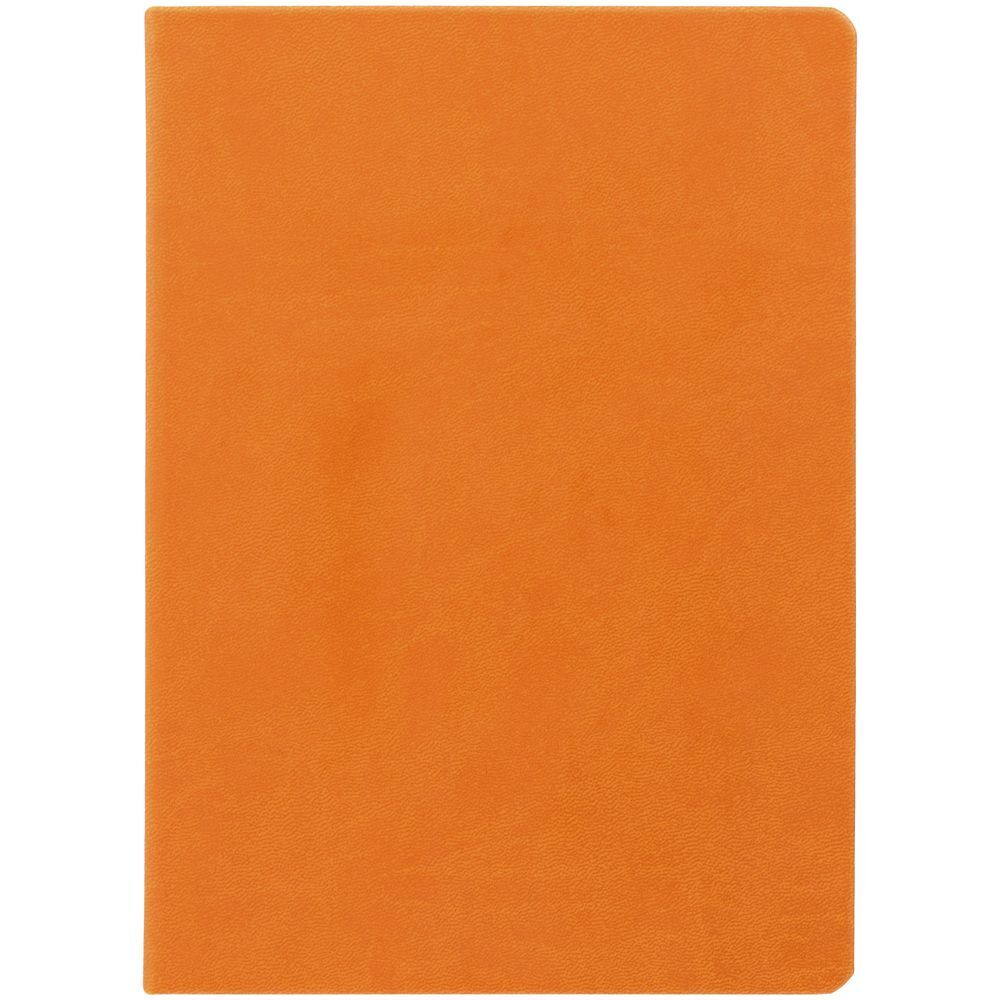 Ежедневник Basis, датированный, оранжевый
