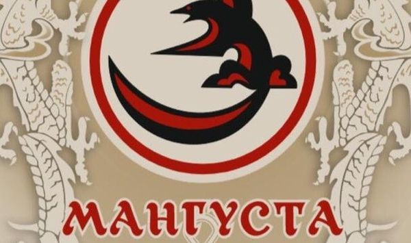 Всероссийские спортивные соревнования по тхэквондо ВТФ «Кубок Мангуста»