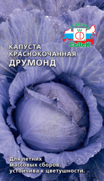 капуста Друмонд