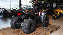 Квадроцикл STELS ATV 110A HUGO