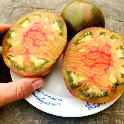 Помидоры Мистерия - Mystery Tomato