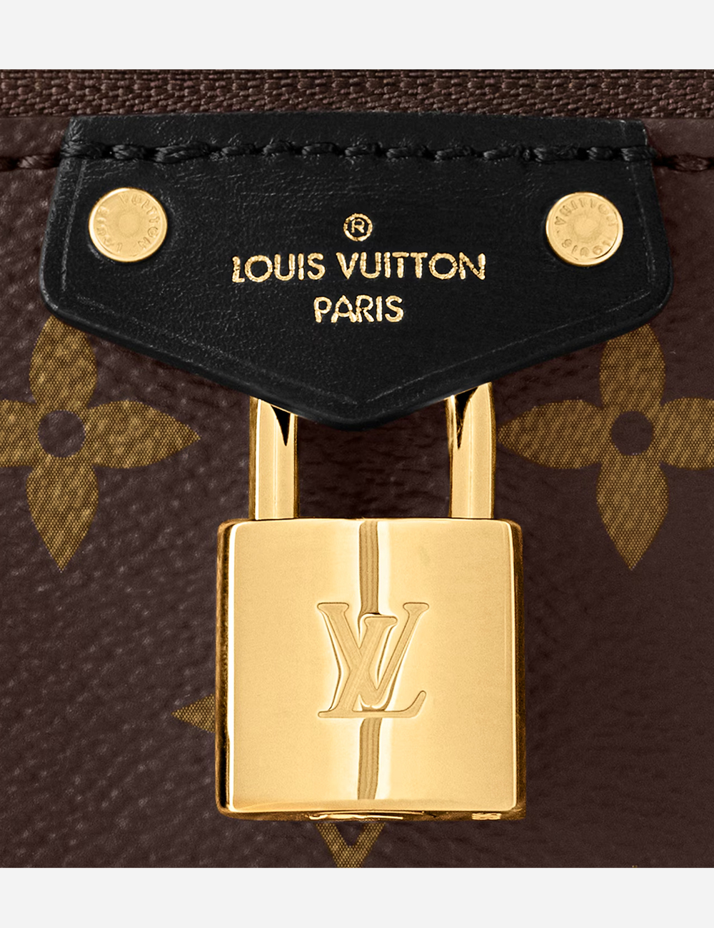 Сумка Louis Vuitton Vanity Chain Pouch "Monogram Reverse Canvas"