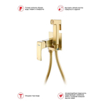 Гигиенический душ со смесителем встраиваемый Raglo R02.54.03, сатин золотой