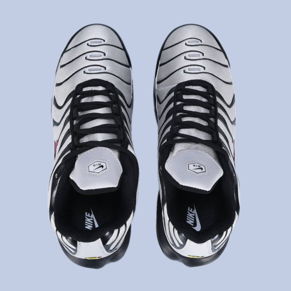 Кроссовки Nike Air Max TN арт 6214