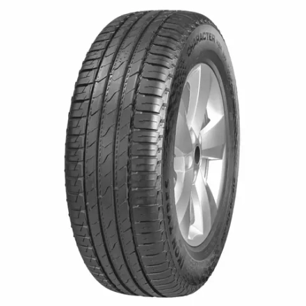 Летняя шина Ikon Tyres Character Aqua SUV (215/55 R18 99V)