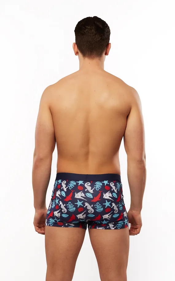 Мужские трусы BB115 Принт