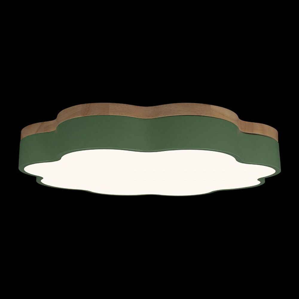 Накладной светильник Loft it Axel 10225/36 Green