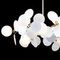Подвесная люстра Loft IT Matisse 10008/12 White