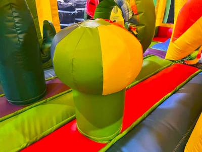 Коммерческий надувной батут «Попугаи и друзья» с крышей, 6x4x4 м