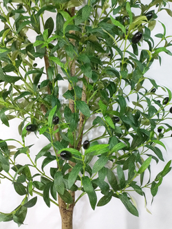 Искусственное Оливковое дерево 180см в кашпо