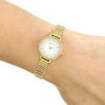 Наручные часы Bering 11022-334