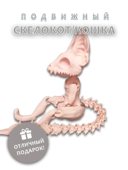 Скелет Кошки