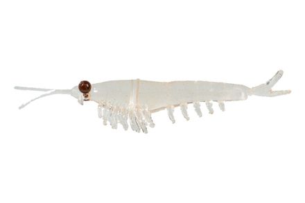Приманка NIKKO Okiami Shrimp L 58мм #Clear Brown