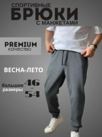 Штаны спортивные без начеса