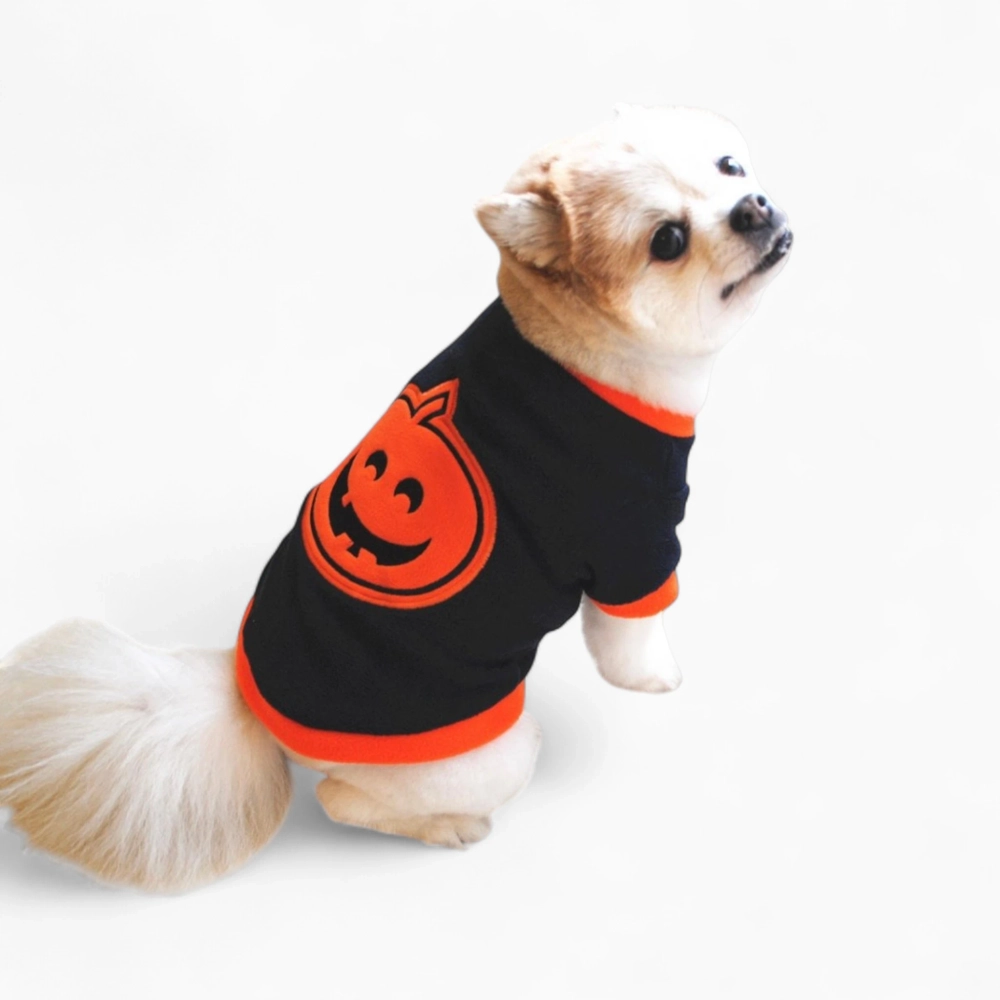 Футболка теплая «Тыква»