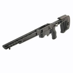 Ложе Орсис, Arms RTG