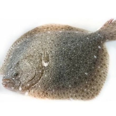 鱼和海鲜