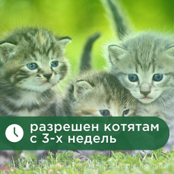 Таблетки от гельминтов и лямблий, профилактика дирофиляриоза для кошек Фенпраз Форте,6таб