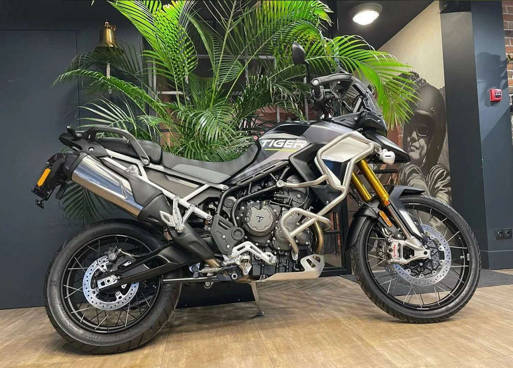 Tiger 900 Rally Aragon Edition