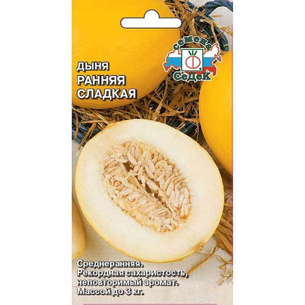 Дыня Ранняя сладкая Седек