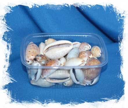 Микс из Ципрей, 1,5-4см, 140гр, 80шт, 250мл