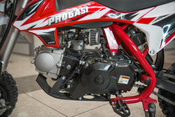 Питбайк Progasi KIDS POWER 110 (10/10) Красный