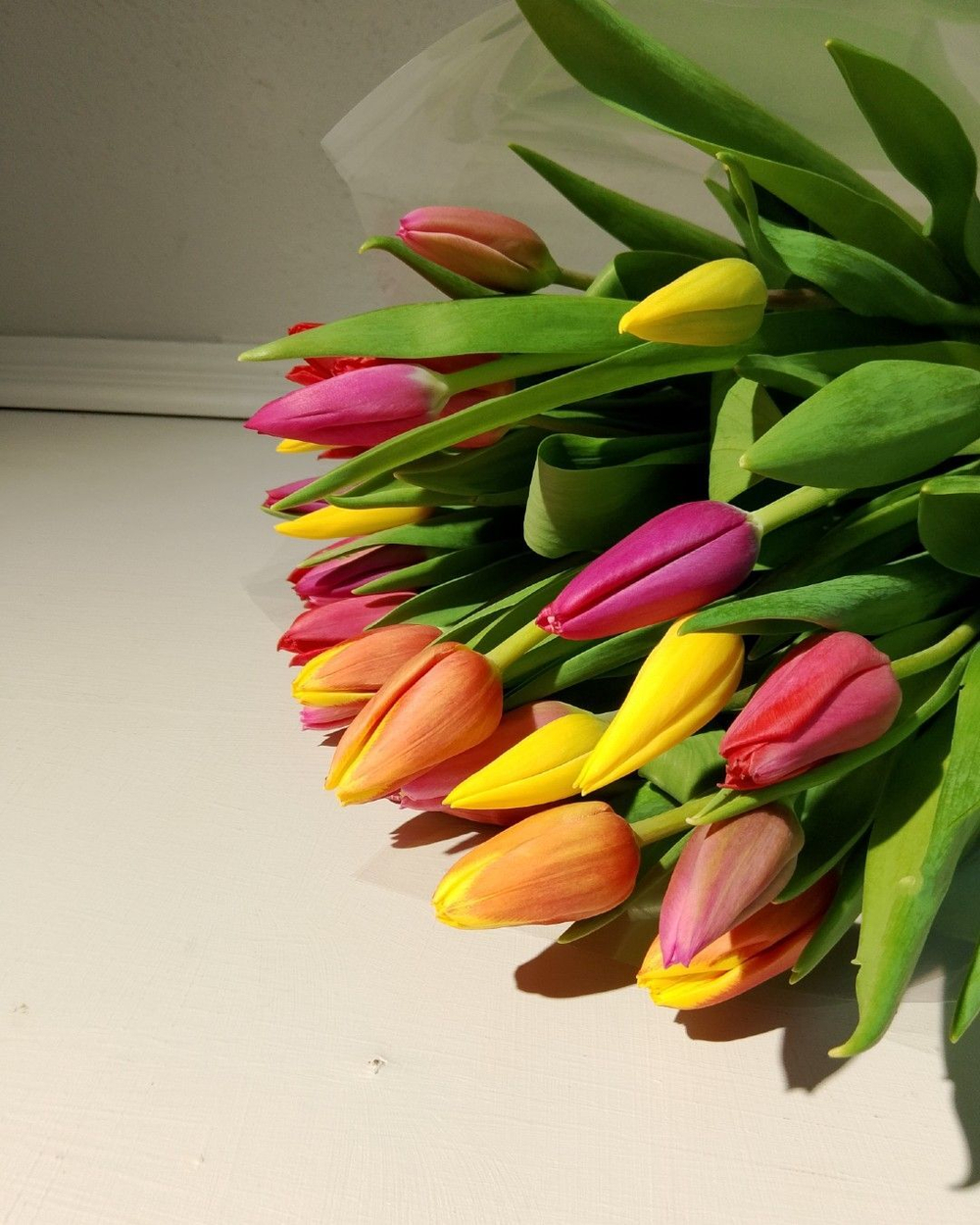 Букет из 35 тюльпанов