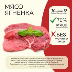 Yummy Linea корм для взрослых кошек всех пород, ягненок, 2 кг