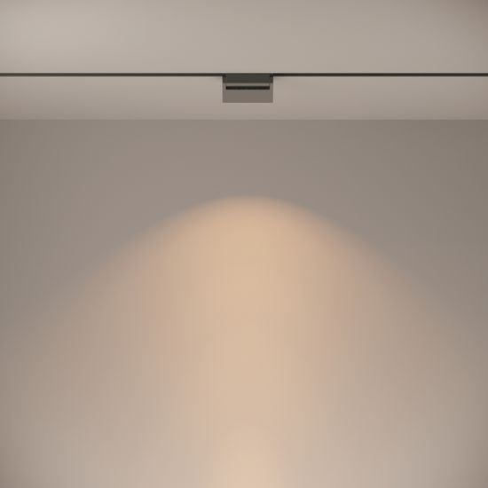 Трековый светильник Technical TR013-2-10W3K-B