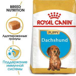 Корм для щенков собак породы такса, Royal Canin Dachshund Puppy