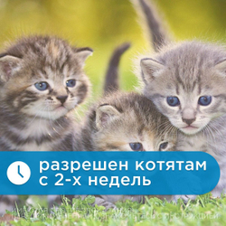 Суспензия от гельминтов и лямблий, профилактика дирофиляриоза для кошек Фенпраз Форте, 5мл.