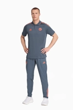 Футболка adidas FC Bayern 25/26 Polo - серый