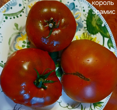 КОРОЛЬ АРАМИС