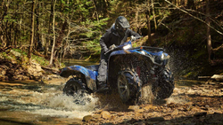 Квадроцикл YAMAHA Grizzly 700 EPS STD (ПСМ)
