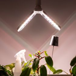 Фитолампа для растений светодиодная ЭРА GREEN LINE ФИТО-20W-PFR-E27-GR 2-х лепестковая полного спектра 20 Вт Е27