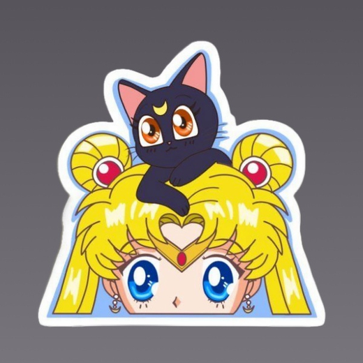 Термонаклейка "Девушка и кот" 10 на 10 см