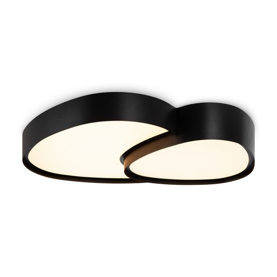 Потолочный светильник Freya FR6079CL-L72B