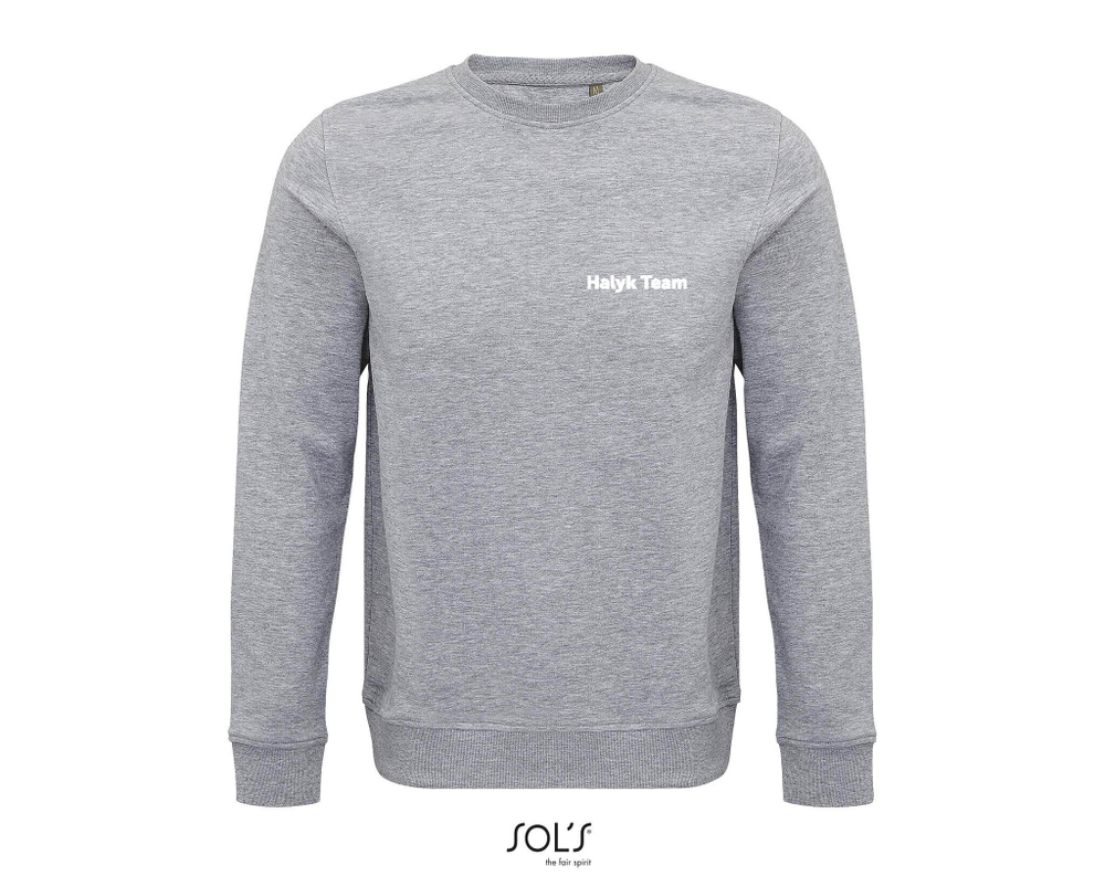 Свитшот Halyk Team COMET