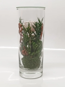 натуральные кустовые пионы в стекле, вакуум*