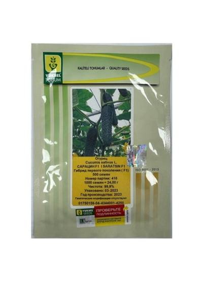 Сарацин F1 семена огурца партенокарпического ( Yuksel Tohum / )