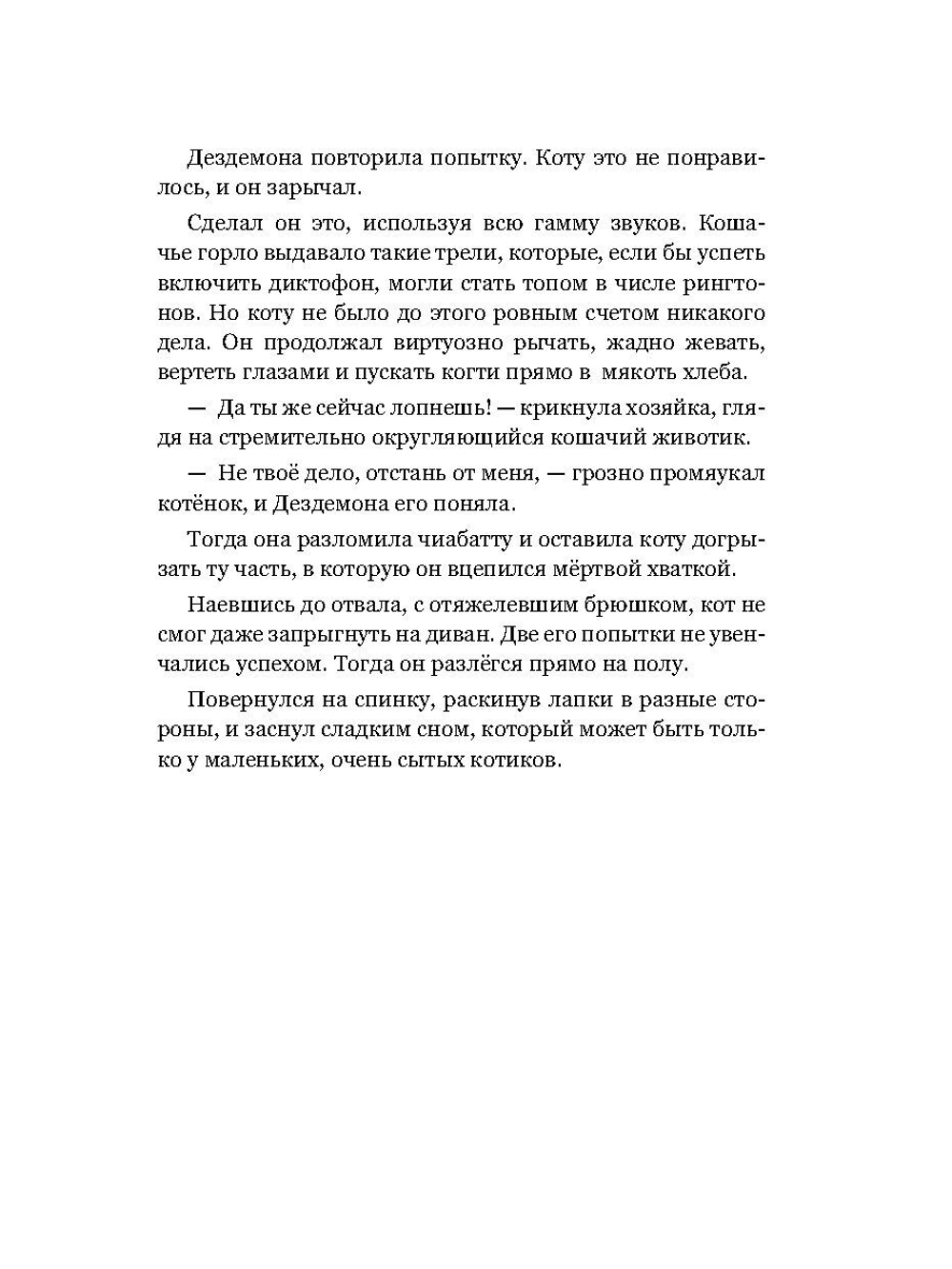 Веселые приключения кота Чиабаты