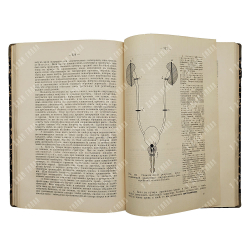 Кервен Ф. [Dr. de Quervain] Частная хирургическая диагностика для студентов и врачей, 1911.