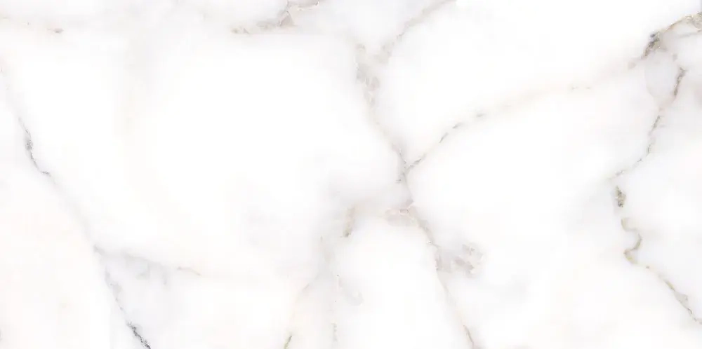 Настенная плитка ALMA Ceramica TWU09GRG007 Grigio 50x24.9 белая глянцевая под камень