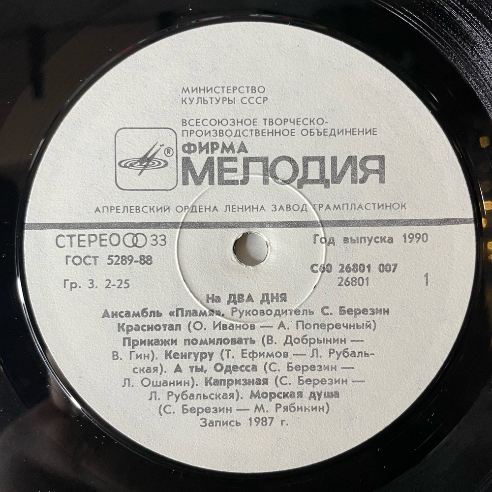 Винтажная виниловая пластинка LP ВИА Пламя На Два Дня (СССР 1990)