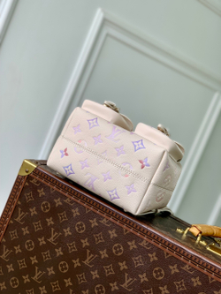 Louis Vuitton Backup