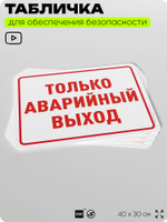 Табличка для обеспечения безопасности "Только аварийный выход", для офиса, по охране труда для предприятия, организаций, 40х30 см, Silver Plane x Айдентика Технолоджи