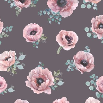 Акварельные розовые маки  и эвкалипт на темном фоне